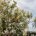La Perla D'argento Tatil Evi *
